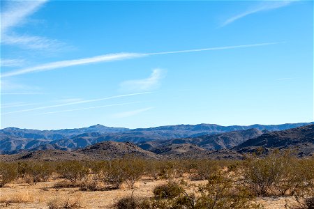 Joshua Tree National Park