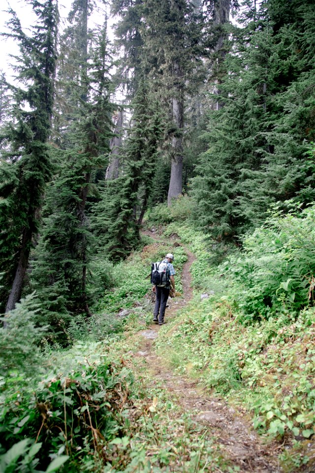 PNTA-Park Butte-Bell Pass-Mount Baker-15