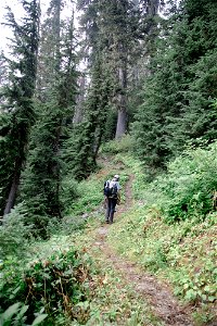 PNTA-Park Butte-Bell Pass-Mount Baker-15 photo