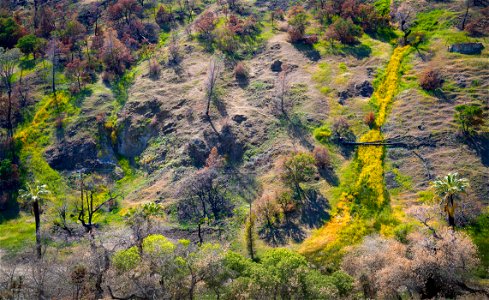 Coalinga Mineral Springs