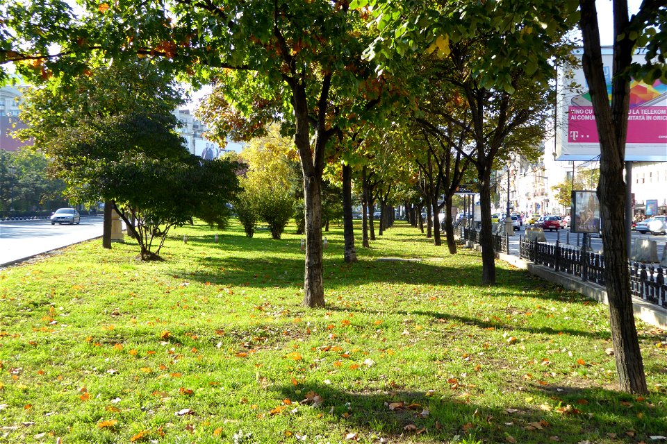 piata-Unirii2015_1025_153528