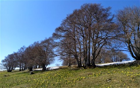 IMG_20210408_145434
