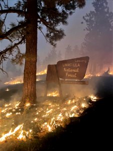 Lick Fire on the Umatilla National Forest burning at night near Forest Service sign
