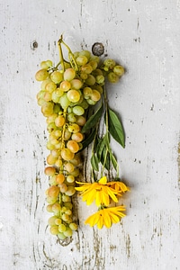 Flowers and Grapes photo