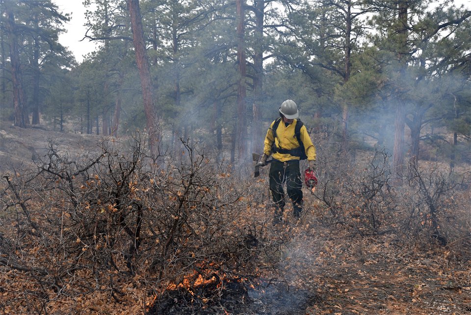 Ray Mesa Prescribed Burn Fall 2021