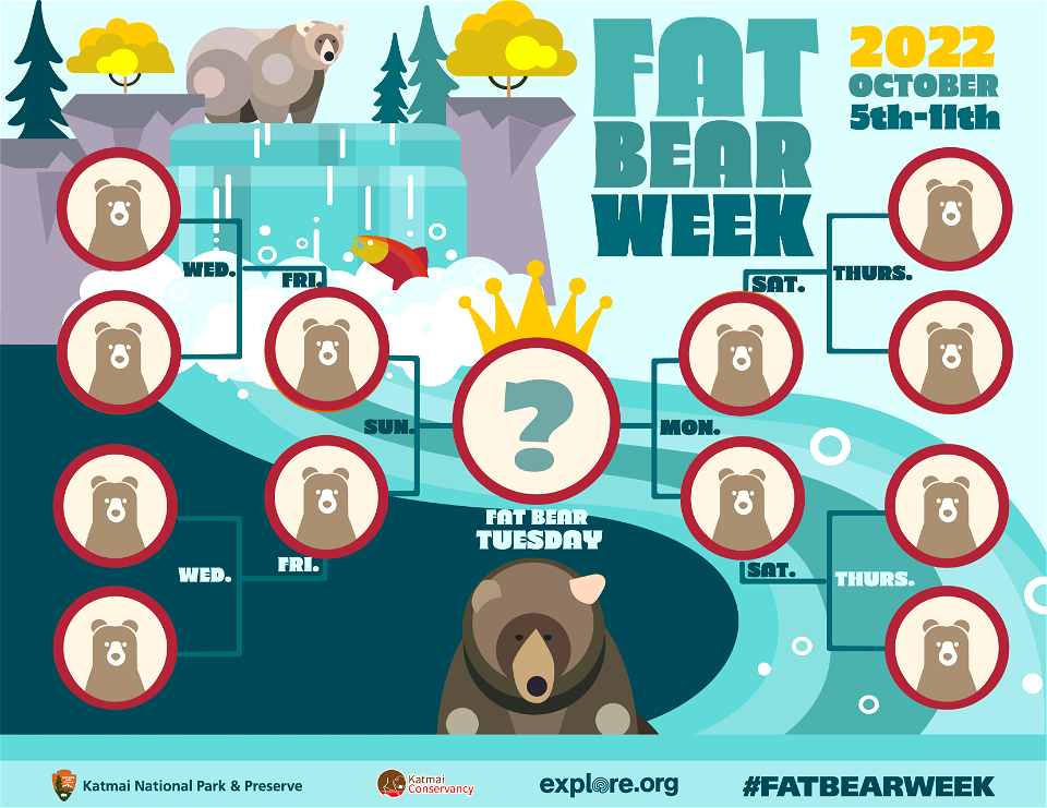 Fat Bear Week 2022 Bracket