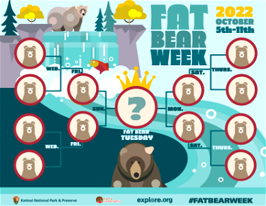 Fat Bear Week 2022 Bracket photo
