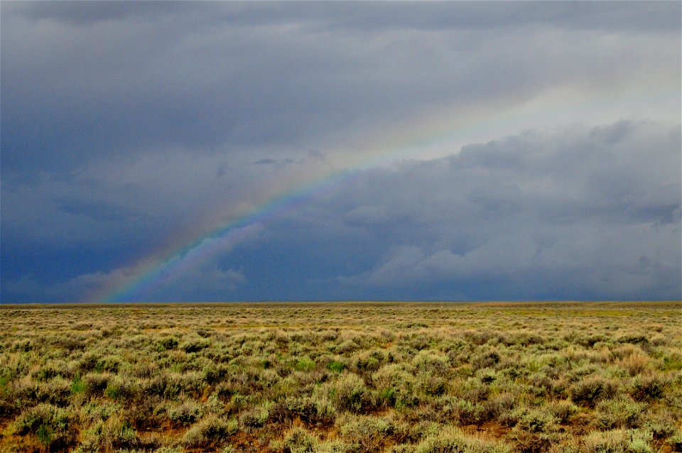 Rain in the sage steppe at Seedskadee National Wildlife Refuge Wyoming