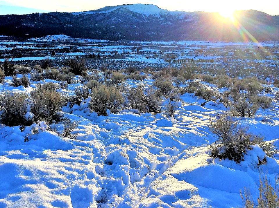Bald Mountain Winter