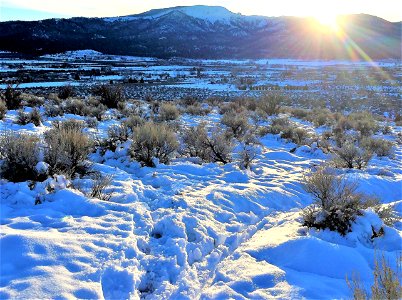 Bald Mountain Winter
