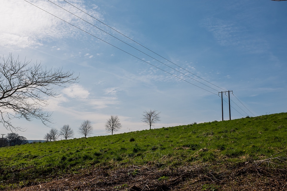 Electrical Wires photo