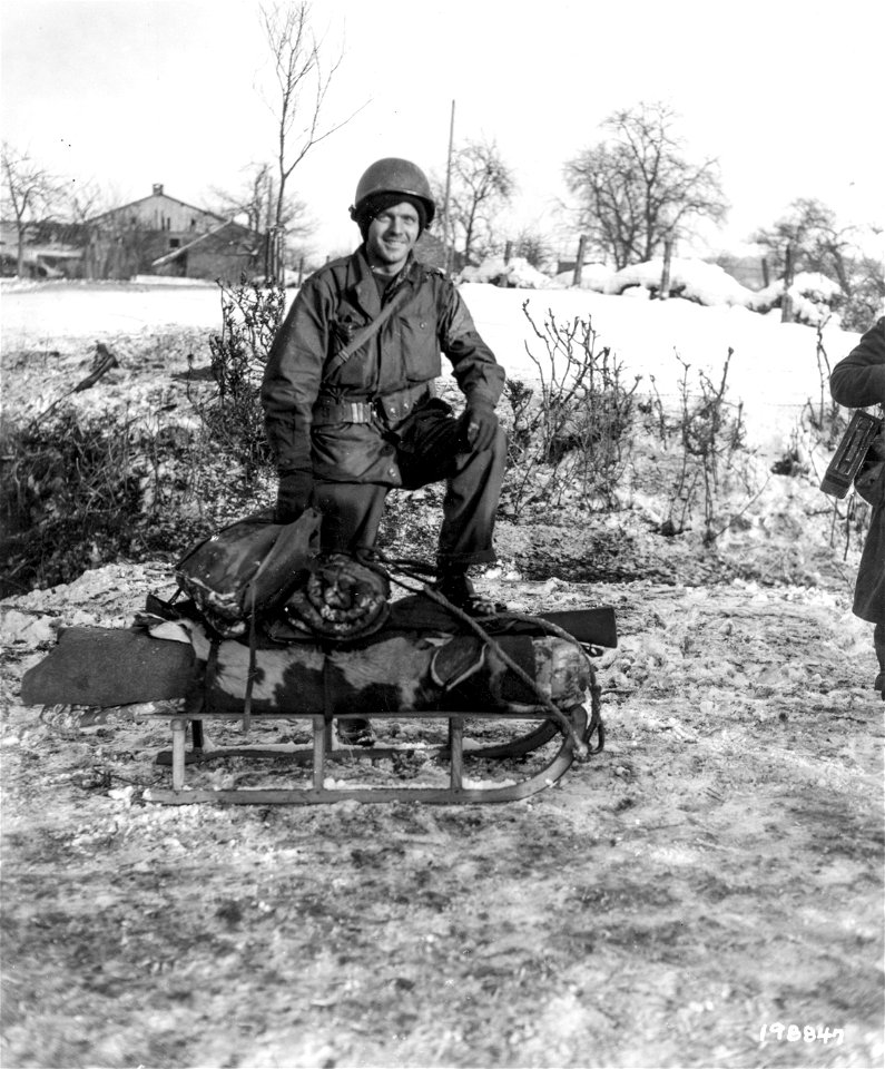SC 198847 - Pfc. Joseph Locke, Van Nuys, Calif., packs his bedroll and equipment on a small sled for transportation to an advance position in Henimont(?), Belgium.
