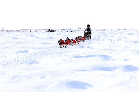 Kobuk 440 racer on the trail between the villages of Selawik and Ambler.