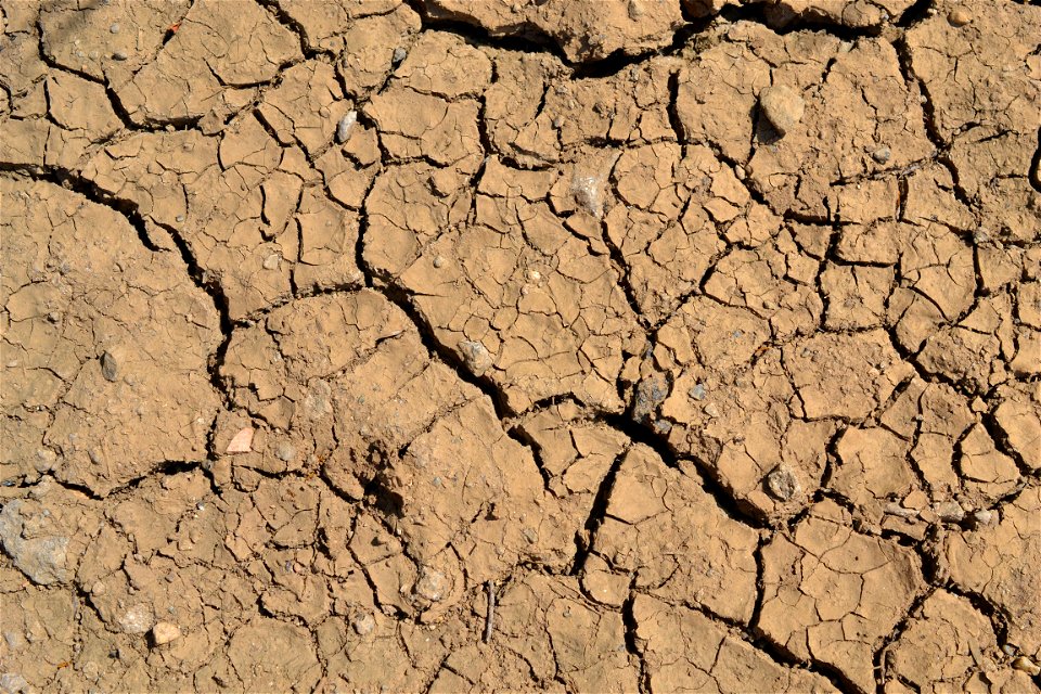Free textures with cracks