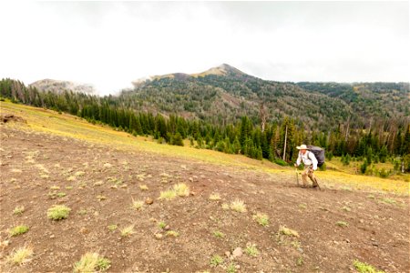 Backpacker approaching Parker Pass photo