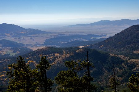 Mountains and trees from Judith Peak