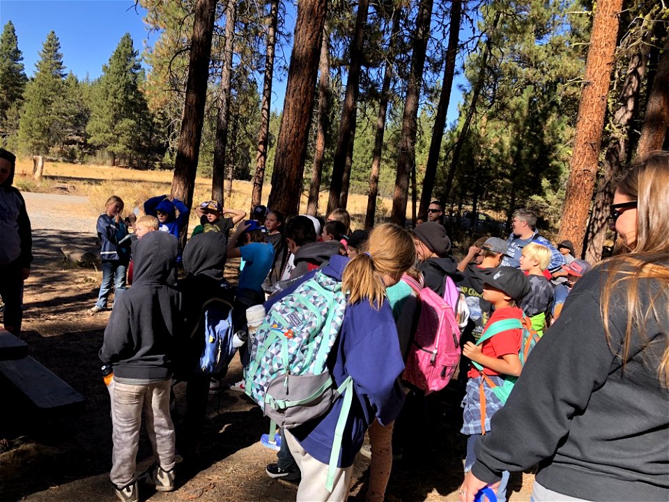 A group of kids learn about forest science at an Every Kid Outdoors Field Day