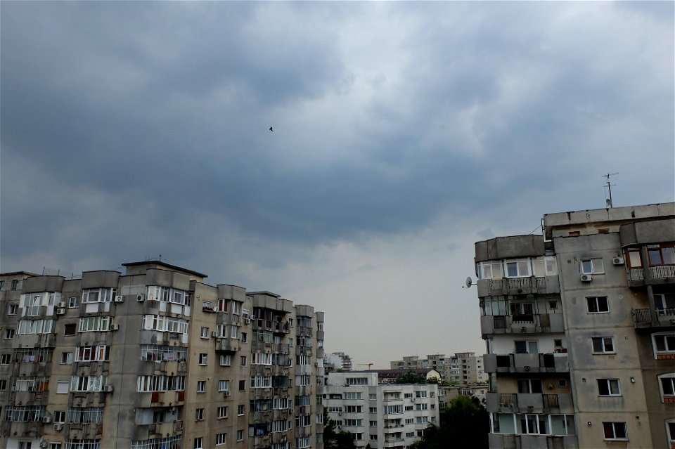 nori-ploaie2015_0620_170959