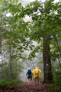 Gravel Springs Hikers in the Rain photo