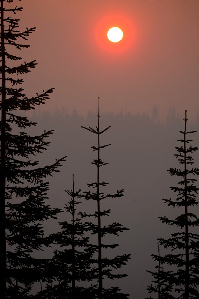 or_17-08-31_0640jpg_49385539046_o