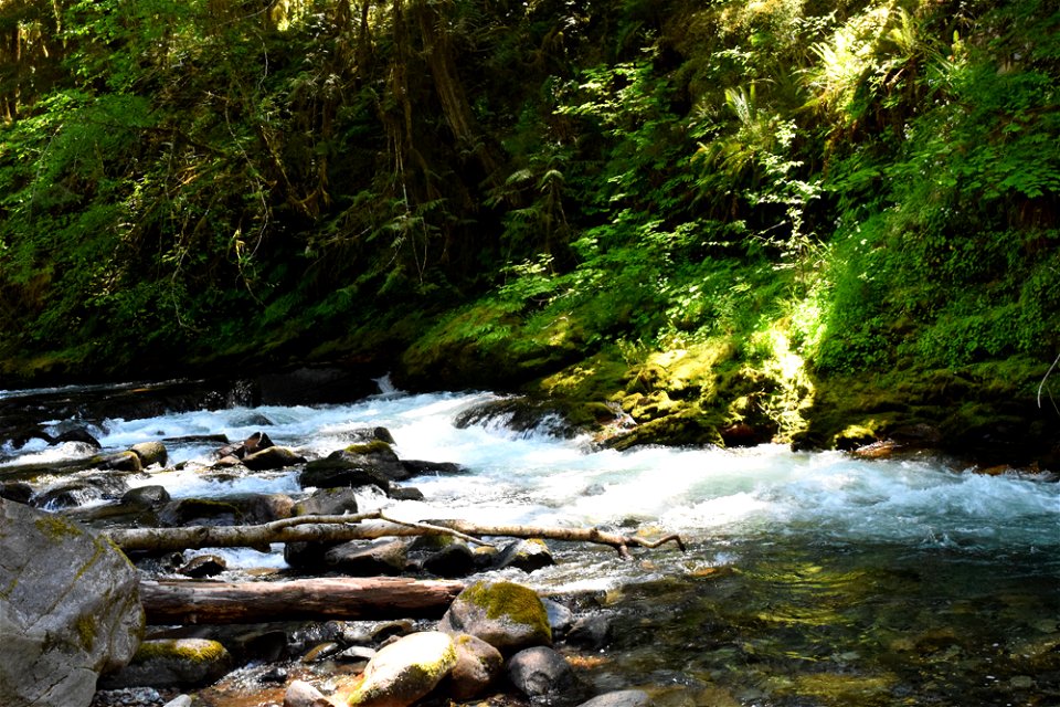 untitled-1583jpg_49364526686_o