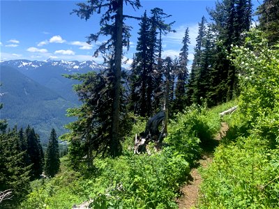 Green Mountain Trail, Mt. Baker-Snoqualmie National Forest. Photo By Sydney Corral June 28, 2021 photo