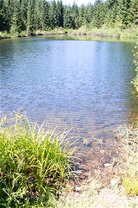 untitled-1333jpg_49364135868_o