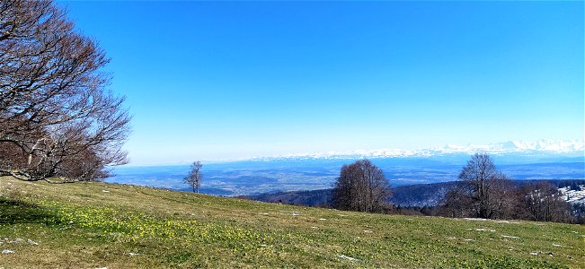 IMG_20210408_150147