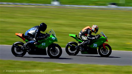 DSC_8615 (2)