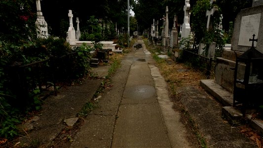 DSC06580