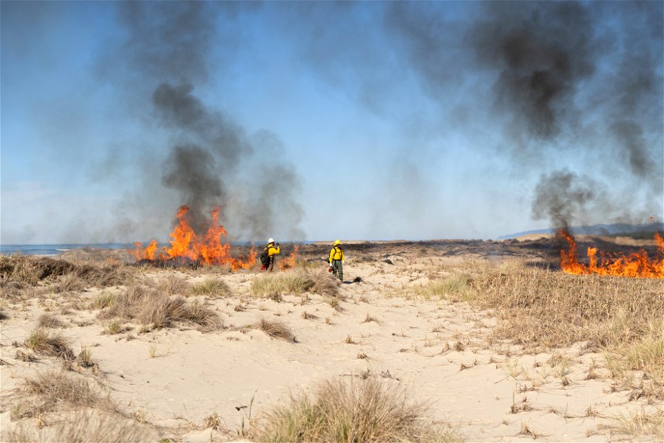 Siuslaw Oregon Dunes Prescribed Burn 2022