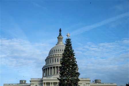 CapitolXmasTreeLighting-WashingtonDC-007 photo