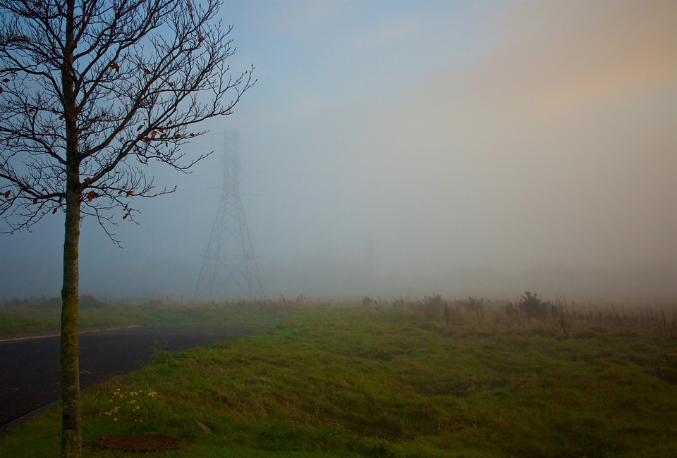 Autumn Fog photo