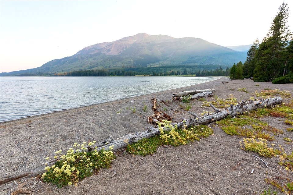 Evening light on Mt. Shridan from Heart Lake photo