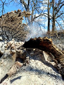 Post-Fire Category - USFWS 2022 Photo/Video Contest