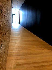 Hallway Into the Light
