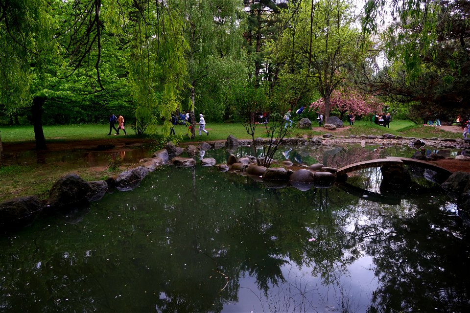 japanes_garden_rain_Herastrau (102)