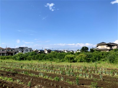 Farm in Higashikurume-shi
