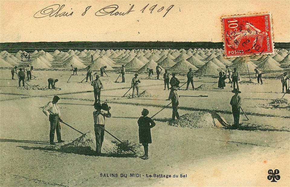Aigues-Mortes : Salins du Midi