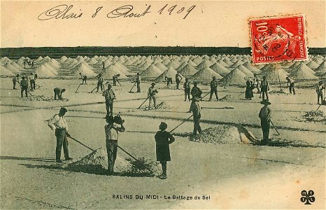 Aigues-Mortes : Salins du Midi