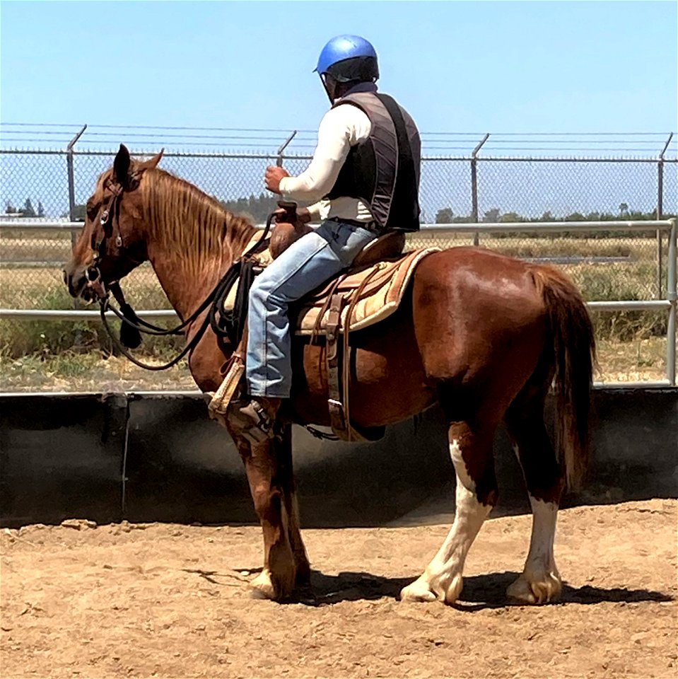 Socks under saddle1