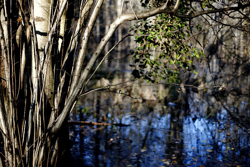 Sky in the water