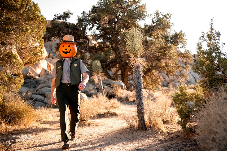 Ranger Jack O'Lantern