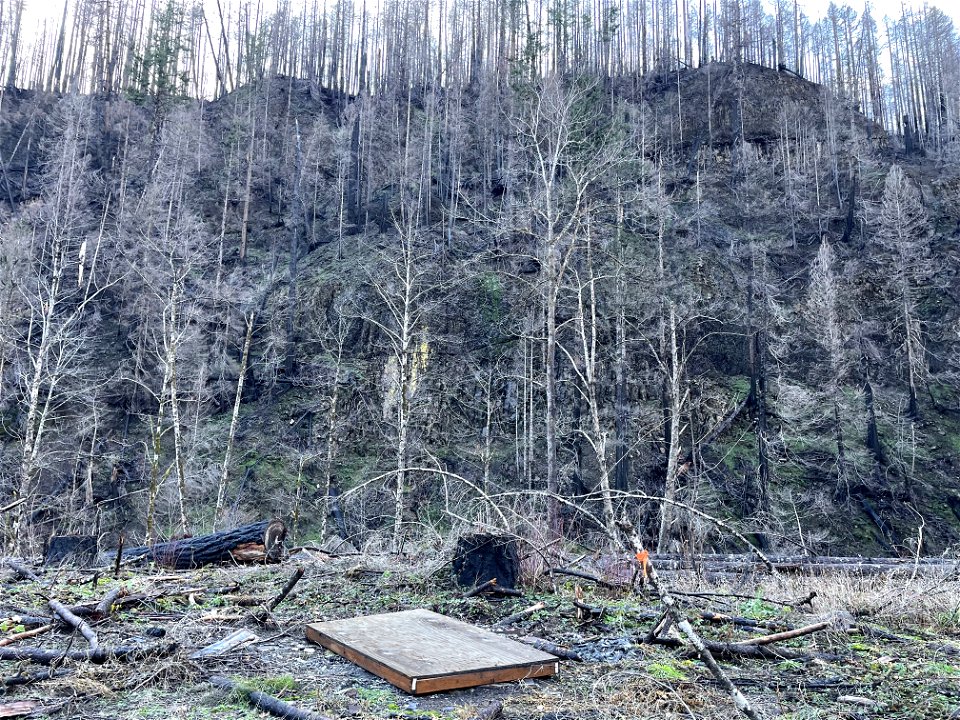 Destroyed toilet facility at Sunstrip Campground on Mt. Hood National Forest
