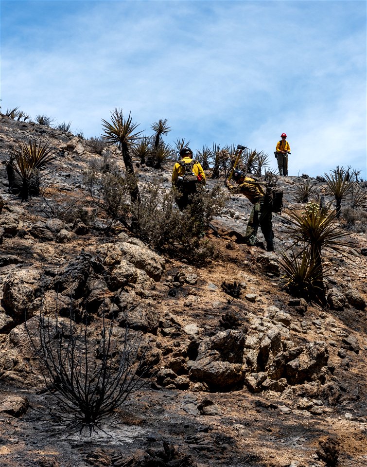 Firefighters in the Elk Fire Burned Area