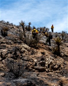 Firefighters in the Elk Fire Burned Area photo