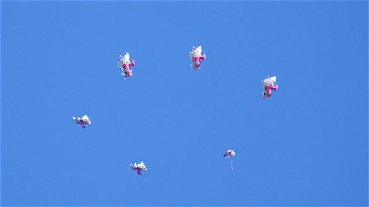 Unicorn Helium Tumble Sport H-APPY Scottish Airforce (1500 ft.)