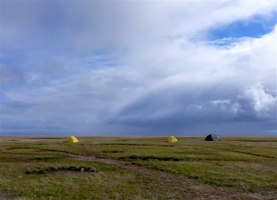 Incoming rain showers