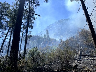 Miller Fire (2023) photo