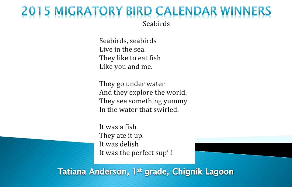 2015 Migratory Bird Calendar Winner